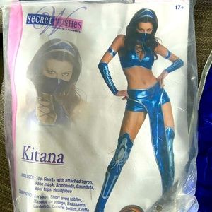 Mortal Kombat Kitana Costume